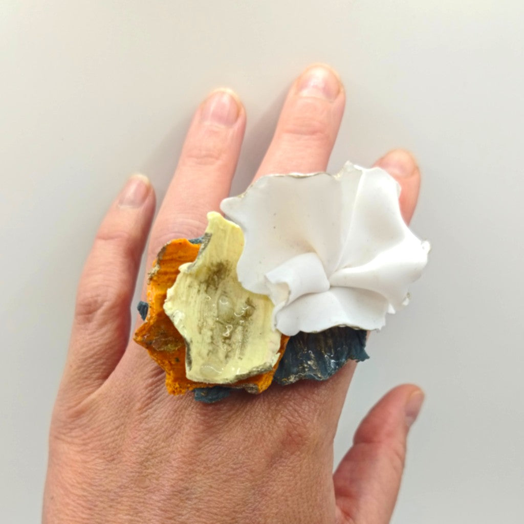 Anillo - fragmentos